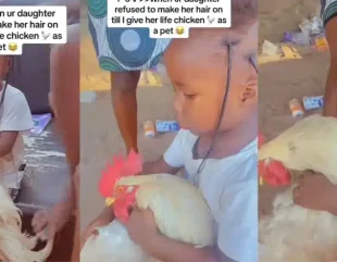 Little Girl Refuses to Make Her Hair Without Holding Live Chicken