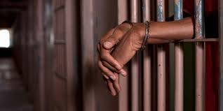 Bricklayer bags 1-year imprisonment for stealing school ceiling fans